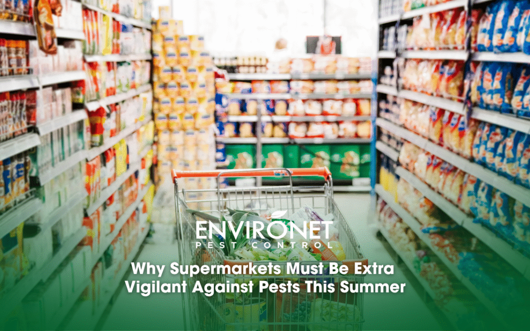 Why Supermarkets Must Be Extra Vigilant Against Pests This Summer