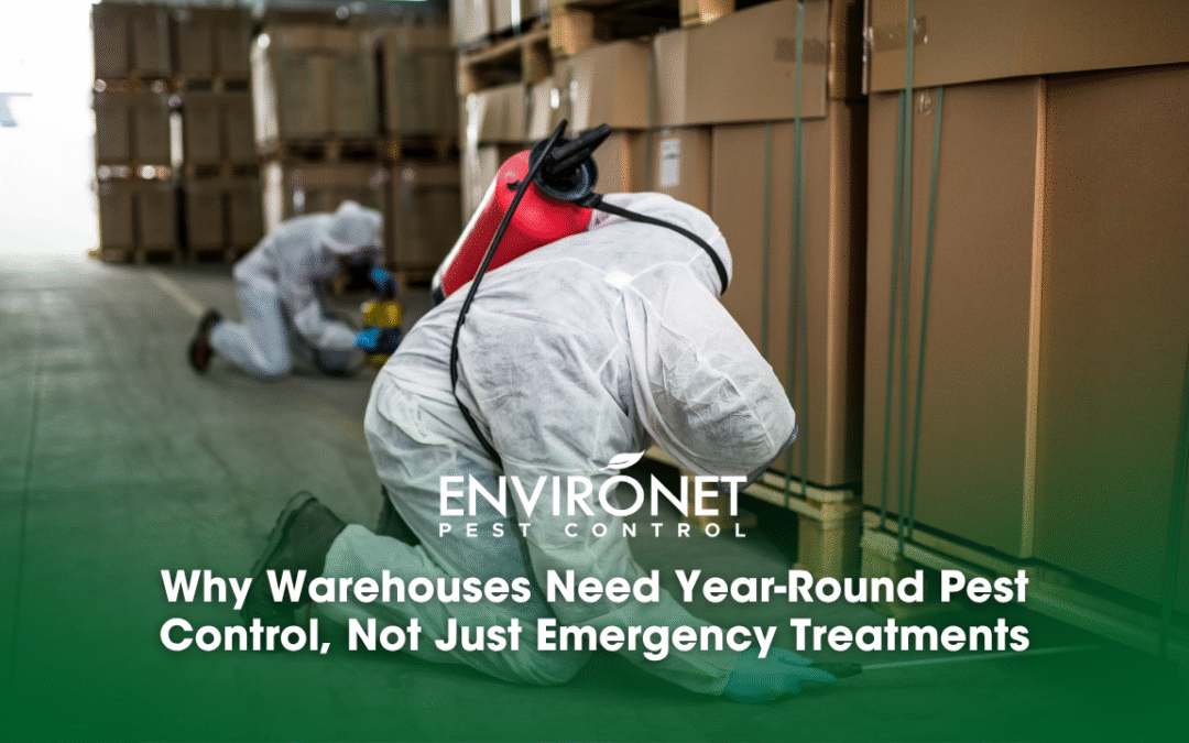 Why Warehouses Need Year-Round Pest Control, Not Just Emergency Treatments