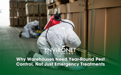 Why Warehouses Need Year-Round Pest Control, Not Just Emergency Treatments