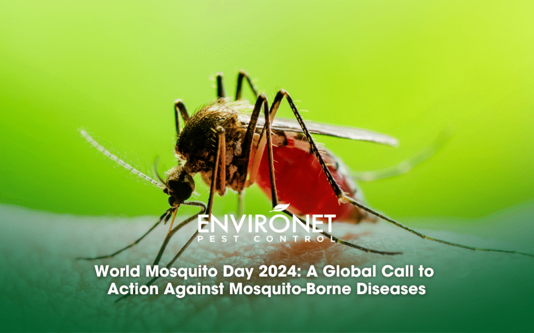 World Mosquito Day 2024: A Global Call to Action Against Mosquito-Borne Diseases