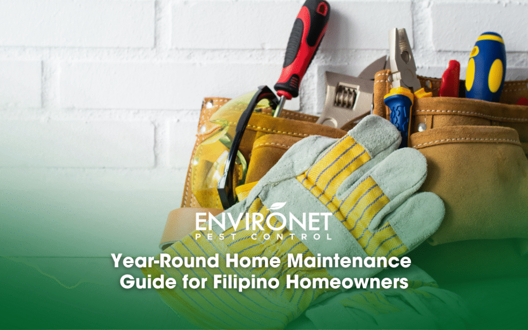 Year-Round Home Maintenance Guide for Filipino Homeowners