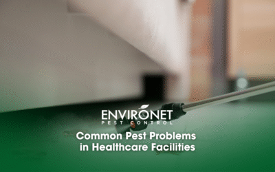 Common Pest Problems in Healthcare Facilities