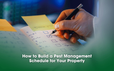 How to Build a Pest Management Schedule for Your Property