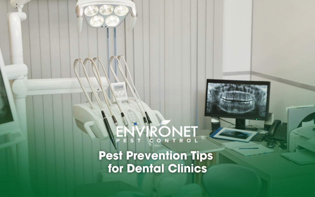 Pest Prevention Tips for Dental Clinics