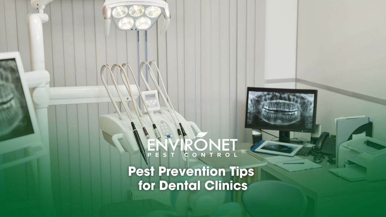 background image of dental clinic with modern equipment and teeth x-ray