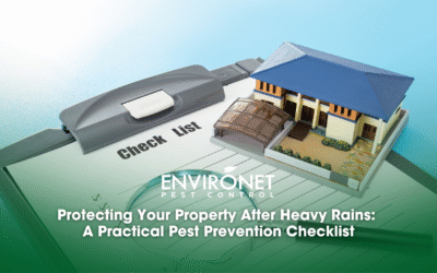 Protecting Your Property After Heavy Rains: A Practical Pest Prevention Checklist