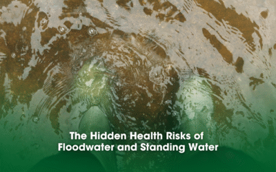 The Hidden Health Risks of Floodwater and Standing Water