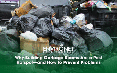 Why Building Garbage Rooms Are a Pest Hotspot—and How to Prevent Problems