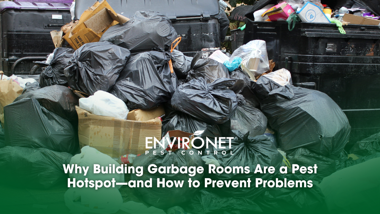 full of garbage bags