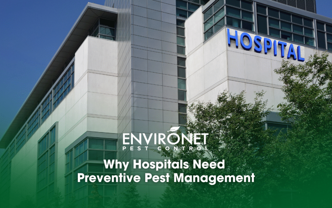 Why Hospitals Need Preventive Pest Management