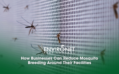 How Businesses Can Reduce Mosquito Breeding Around Their Facilities