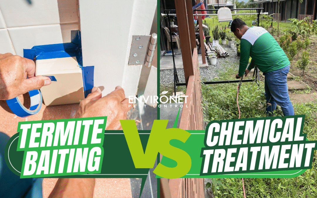 Termite Baiting vs. Chemical Treatment: Which One Is Right for Your Property?