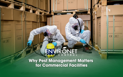 Why Pest Management Matters for Commercial Facilities