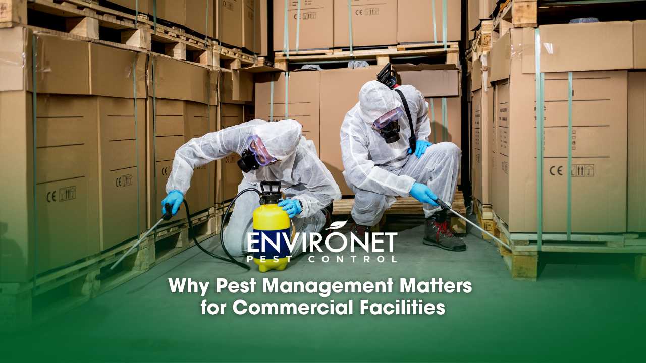 industrial pest control