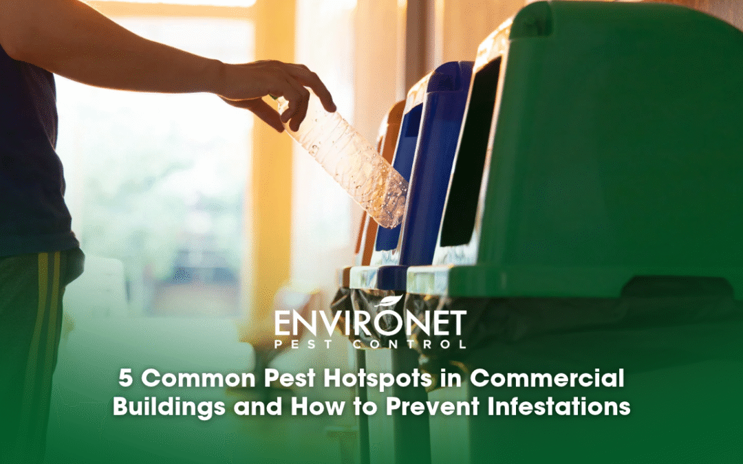 5 Common Pest Hotspots in Commercial Buildings and How to Prevent Infestations