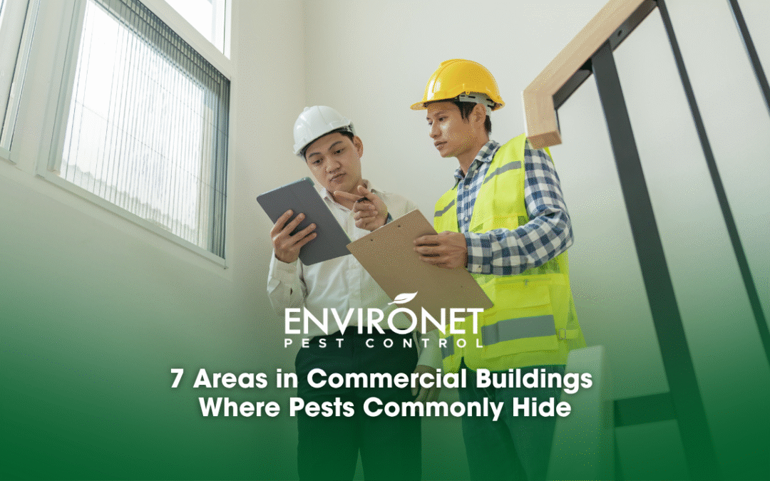 7 Areas in Commercial Buildings Where Pests Commonly Hide