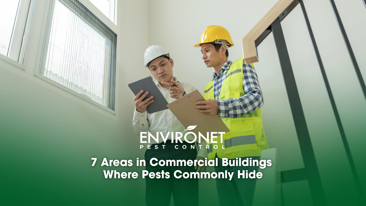 engineer and owner project is inspecting construction and quality assurance of the new building