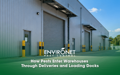 How Pests Enter Warehouses Through Deliveries and Loading Docks