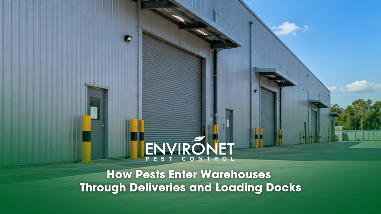 warehouse backdoors