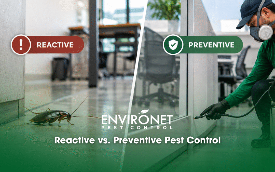 Reactive vs. Preventive Pest Control for Businesses