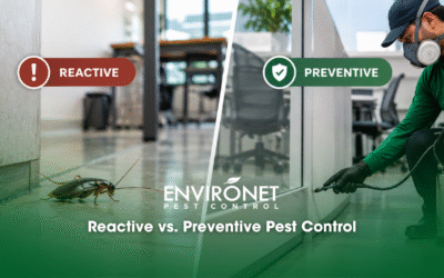 Reactive vs. Preventive Pest Control for Businesses