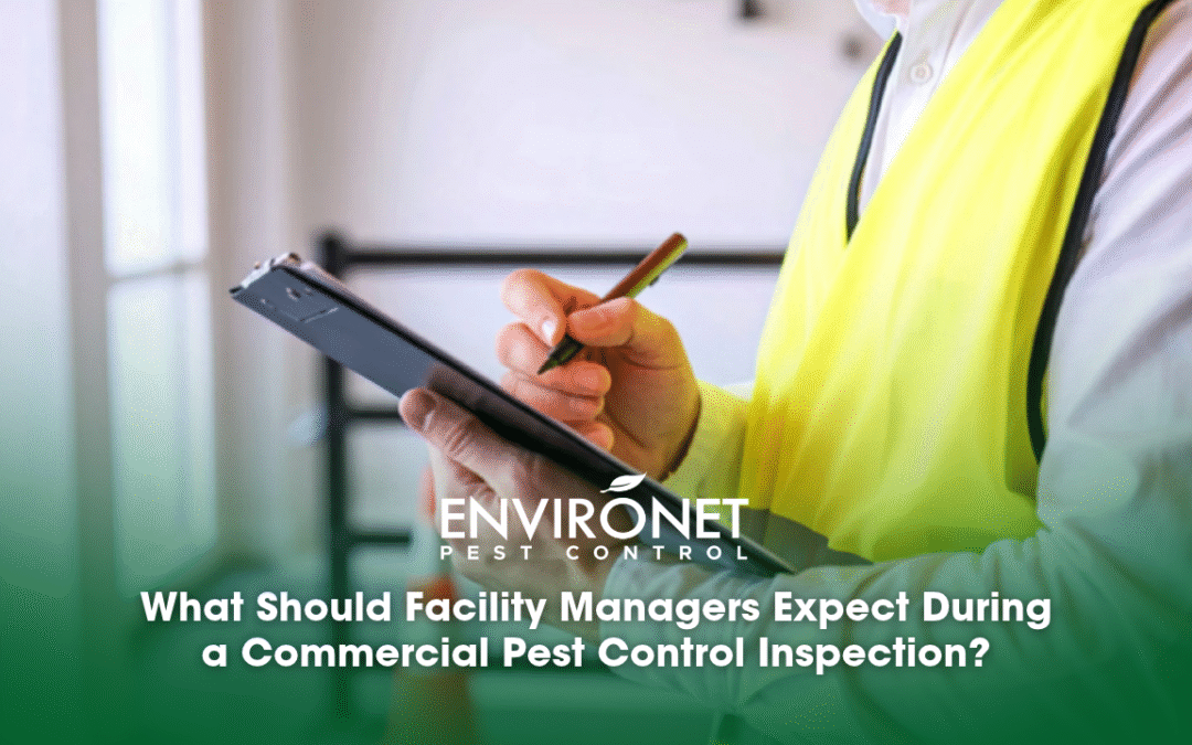 What Should Facility Managers Expect During a Commercial Pest Control Inspection?