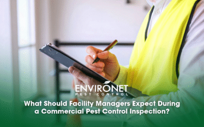 What Should Facility Managers Expect During a Commercial Pest Control Inspection?