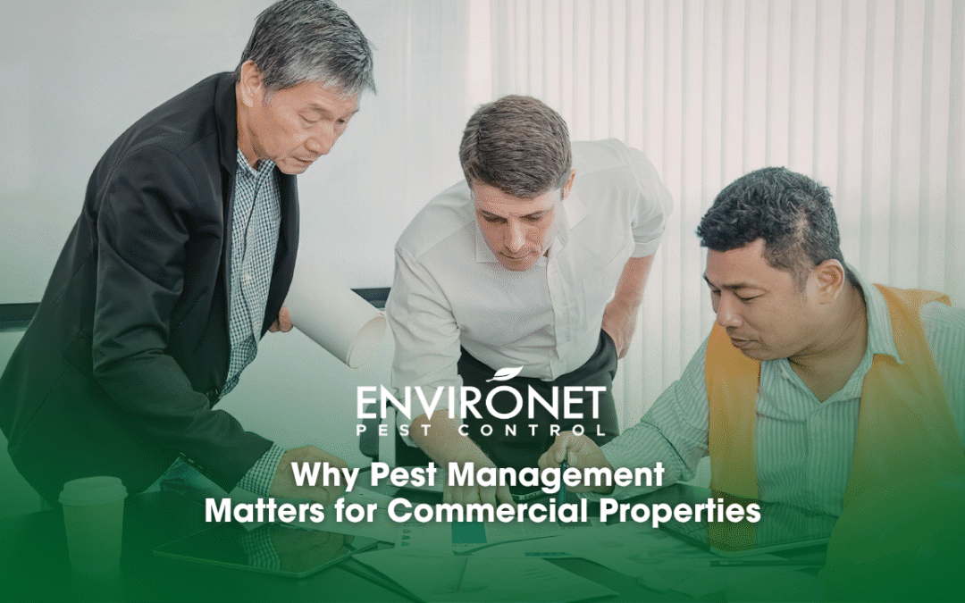 Why Every Commercial Building Needs a Pest Management Plan
