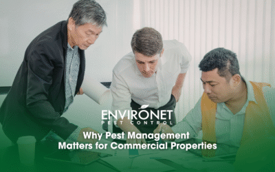 Why Every Commercial Building Needs a Pest Management Plan