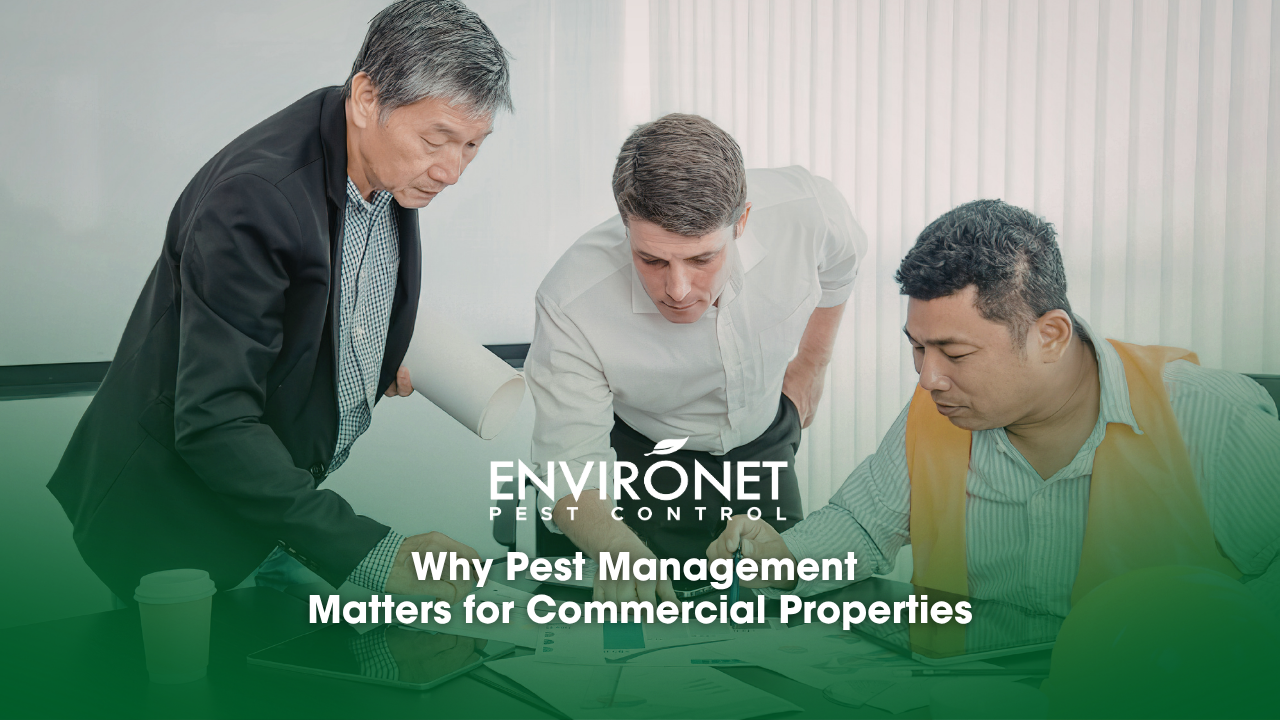 3 professionals reviewing construction plans and documents for pest related issues.