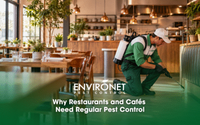 Why Restaurants and Cafés Need Regular Pest Control